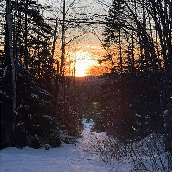 Meet your Posher, Nadine - Picture 1 of 1